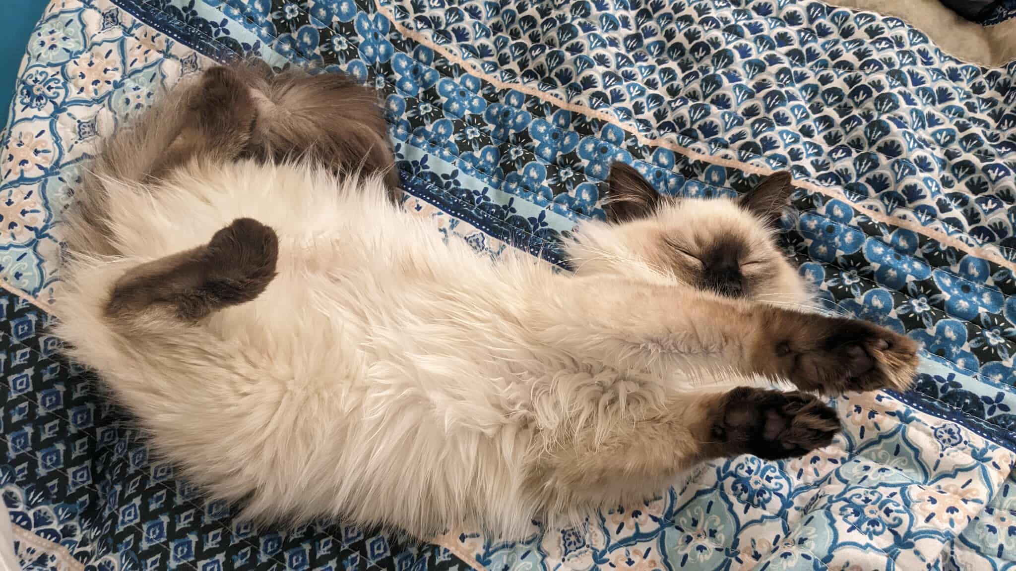 Zen like attitude...